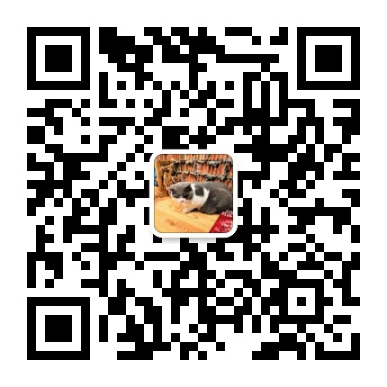 38063ff5acd8deeaad8d07fc95e0f1d7 关于糖果创意导航